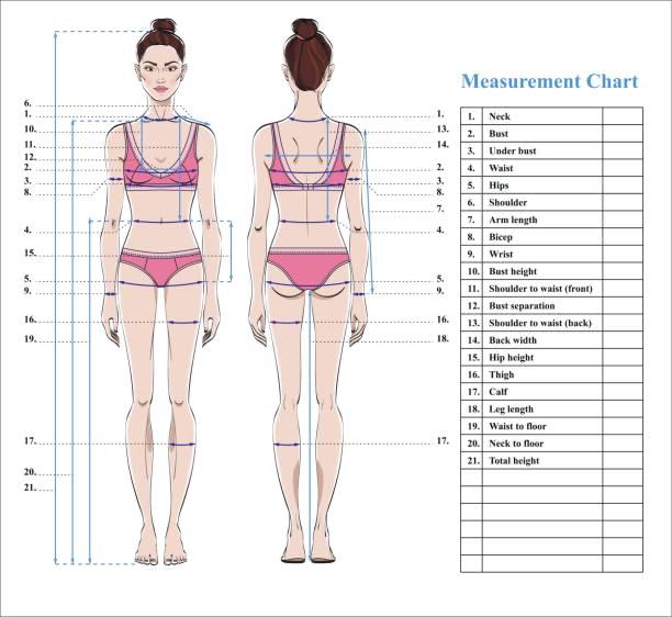 Body measurement chart with illustrations of a woman in pink lingerie and labeled body parts.