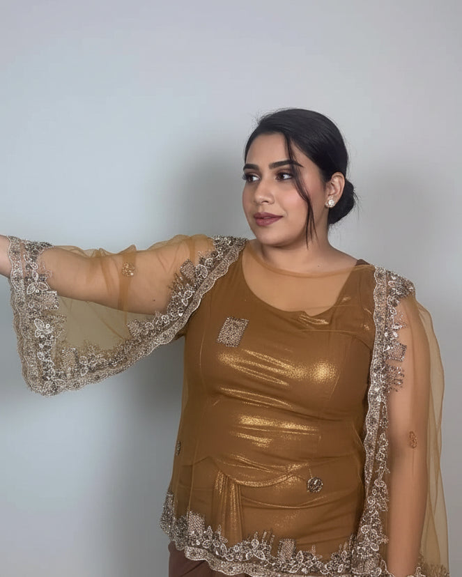 Elegant Brown Shimmer  Style Dress with Embellished Net Cape